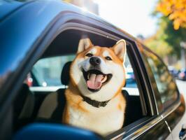 content chien équitation dans une voiture avec ses tête en dehors le fenêtre ai génératif photo