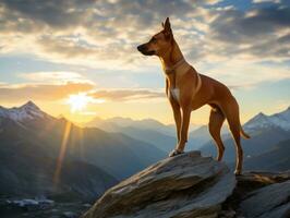 majestueux chien permanent fièrement sur une Montagne de pointe ai génératif photo