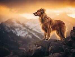 majestueux chien permanent fièrement sur une Montagne de pointe ai génératif photo