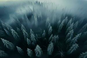 le éthéré aura de une brumeux, Haut vers le bas vue de le hiver forêt ai généré photo