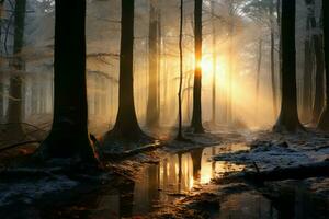 natures beauté brille par dans une hêtre arbre rempli hiver forêt ai généré photo