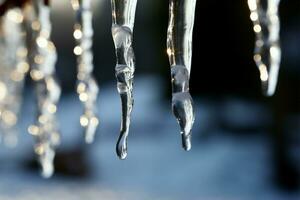 glaçons pendre comme congelé diamants de le des arbres glacial membres ai généré photo