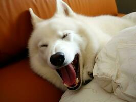 chien avec une malicieux expression entouré par déchiré oreillers ai génératif photo