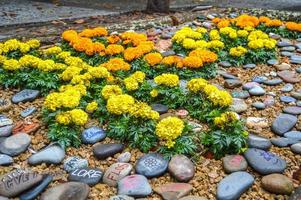 festival des fleurs à girona temps de flors, espagne. 2018 photo