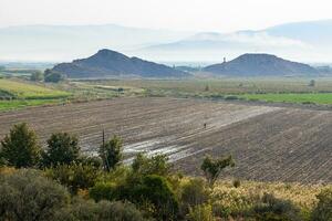 cultivé agricole des champs dans Ararat plaine photo