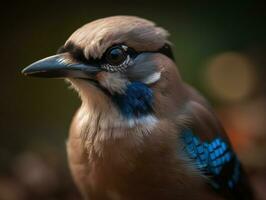 geai oiseau portrait ai généré photo