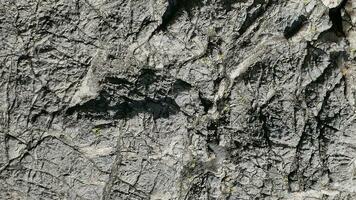 une proche en haut de une Roche avec des fissures et des fissures photo