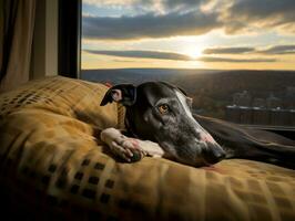 pensif chien repos sur une doux canapé avec une vue de le ville ai génératif photo