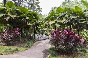 jardins botaniques parfaits et propres du parc perdana à kuala lumpur. photo