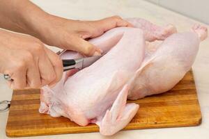 femme main Coupe entier brut poulet photo