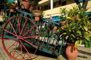 Chariot avec mis en pot les plantes photo