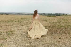 femme en marchant dans d'or séché herbe champ. photo