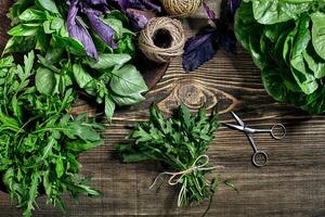 variété de Frais biologique herbes sur en bois Contexte. fraîchement récolté herbes comprenant basilic, Roquette. Haut voir. copie espace. photo