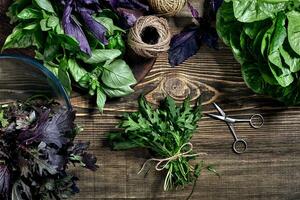 variété de Frais biologique herbes sur en bois Contexte. fraîchement récolté herbes comprenant basilic, Roquette. Haut voir. copie espace. photo