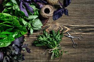 variété de Frais biologique herbes sur en bois Contexte. fraîchement récolté herbes comprenant basilic, Roquette. Haut voir. copie espace. photo