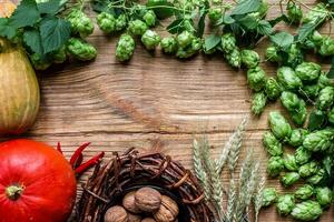 l'automne Contexte avec citrouilles, blé pointes, des noisettes, vigne, le houblon sur en bois Contexte. Haut vue photo