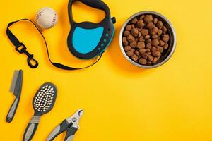 chien accessoires sur Jaune Contexte. Haut voir. animaux domestiques et animaux concept photo