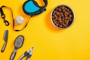 chien accessoires sur Jaune Contexte. Haut voir. animaux domestiques et animaux concept photo