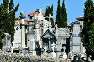 le cimetière est plein de pierres tombales et des arbres photo