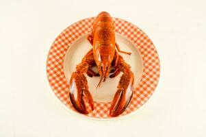 une Homard sur une assiette avec une à carreaux modèle photo