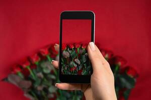 fermer de femme est en train de préparer à faire une photo avec une mobile téléphone. bouquet de des roses sur une rouge Contexte