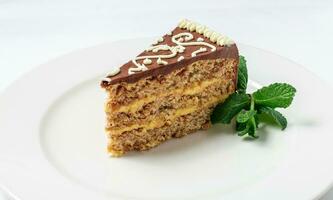 pièce de Kiev gâteau avec Chocolat crème et décoré menthe photo