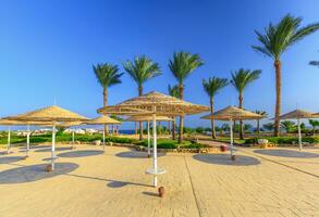 paille parapluies et transats sur le magnifique tropical plage. photo