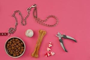 chien nourriture dans métallique bol et accessoires sur rose Contexte photo