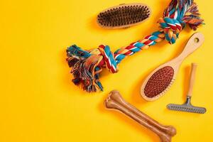 accessoires pour le toilettage de le chien. peignes et brosses pour chiens. Haut vue photo