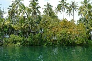 tranquille tropical plage avec paume des arbres et bleu mer. photo