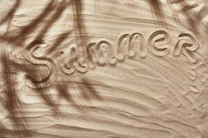 été concept avec une ombre de une tropical paume arbre feuilles, fond sur une blanc plage sable. photo