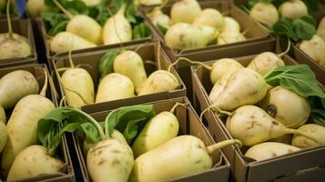 fraîchement choisi jicama fruit de jardin mis dans le des boites. génératif ai photo