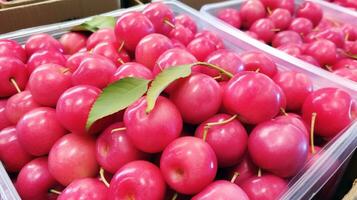 fraîchement choisi acérola fruit de jardin mis dans le des boites. génératif ai photo