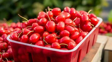 fraîchement choisi Barbade Cerise fruit de jardin mis dans le des boites. génératif ai photo