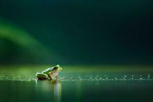 une grenouille séance sur le bord de une étang. généré par ai photo