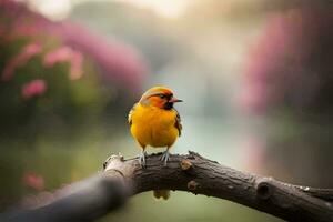 photo fond d'écran oiseau, le oiseau, oiseau, oiseau, oiseau, oiseau, oiseau, oiseau,. généré par ai