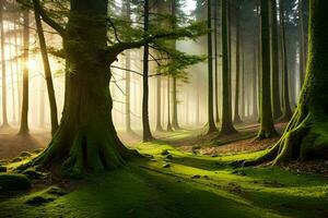 une forêt avec des arbres et moussu sol. généré par ai photo