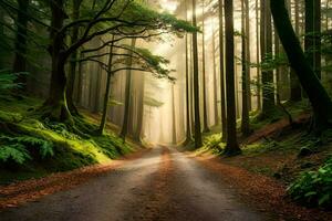 une route dans le milieu de une forêt avec des arbres. généré par ai photo