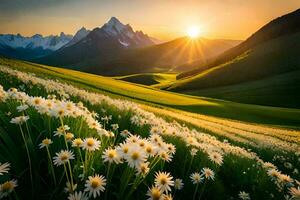 le Soleil monte plus de une champ de marguerites dans le montagnes. généré par ai photo