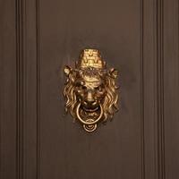 poignée de porte en forme de museau de lion photo