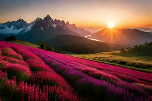 le Soleil monte plus de une lavande champ dans le montagnes. généré par ai photo