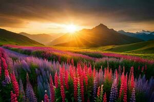 le Soleil monte plus de une champ de lupin fleurs. généré par ai photo