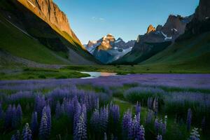 le lupin fleurs sont dans le premier plan de le photo. généré par ai photo