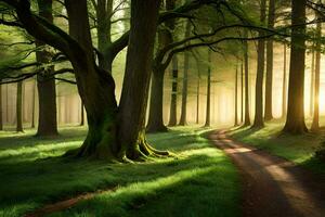 mur art - photographier - forêt chemin par James Watson. généré par ai photo