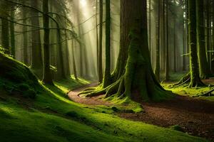 une chemin par une forêt avec moussu des arbres. généré par ai photo