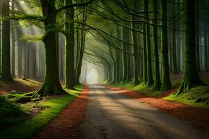 une route par une forêt avec des arbres et rayons de soleil. généré par ai photo