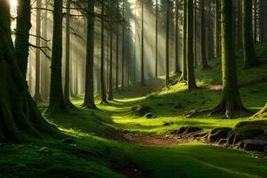 une forêt avec rayons de soleil brillant par le des arbres. généré par ai photo