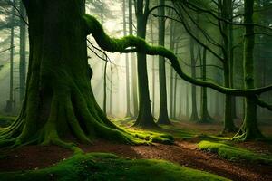 une vert forêt avec des arbres et moussu sol. généré par ai photo