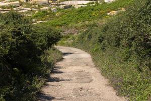 chemin de terre éclairé par le soleil d'été photo