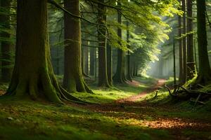 une chemin par une forêt avec des arbres et herbe. généré par ai photo